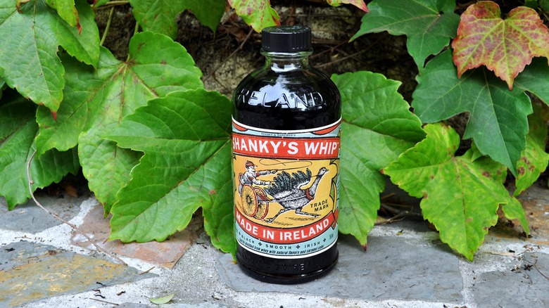 bottle of Shanky's Whip