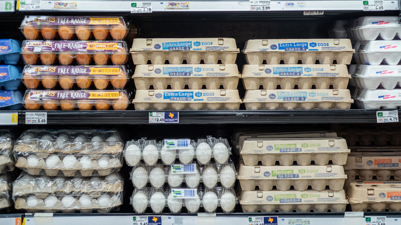 eggs on grocery store shelf