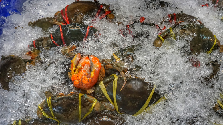 Fresh caught crabs 