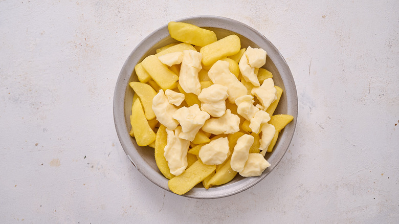 fries and cheese curds in bowl