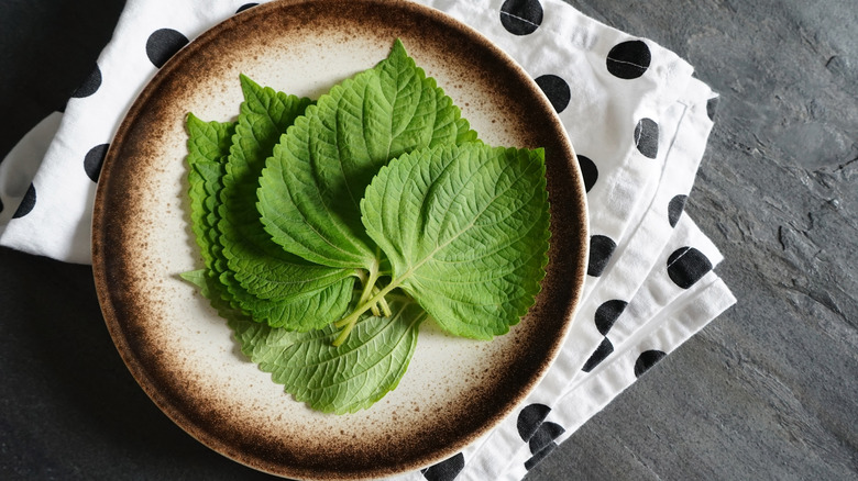 shiso leaves on ceramic plate