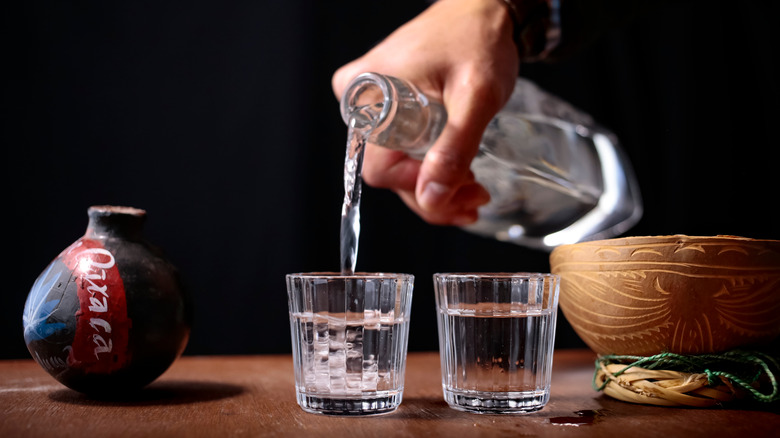 Two glasses of mezcal