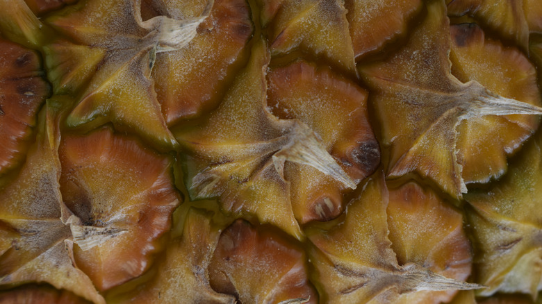 Close-up of a brown pineapple rind