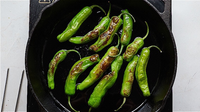 blistering shishito peppers in a cast iron skillet