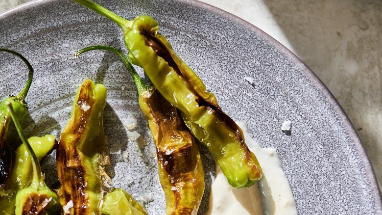 shishito peppers on a plate