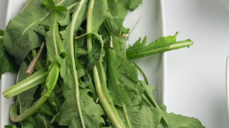 fresh dandelion greens on plate