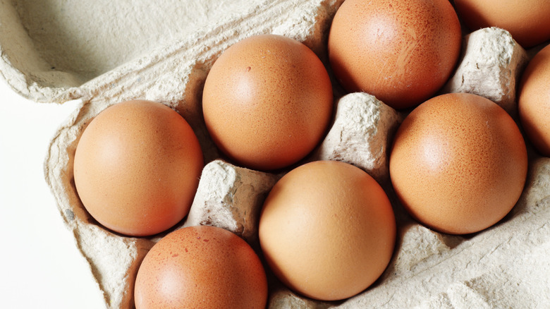 Carton of brown eggs