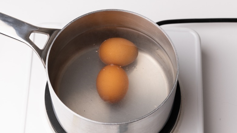 eggs in pot of water