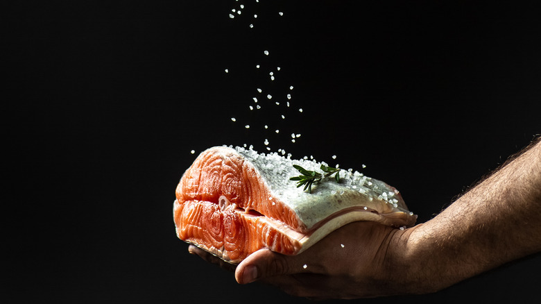 Salting salmon fillets hand black background