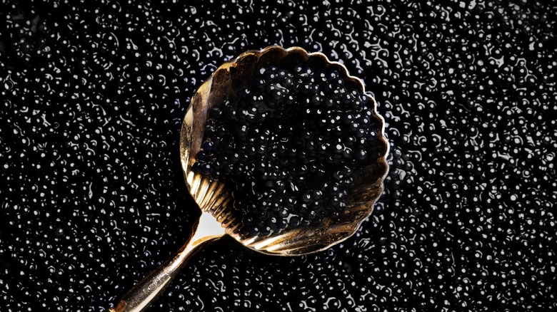 Scoop of premium caviar