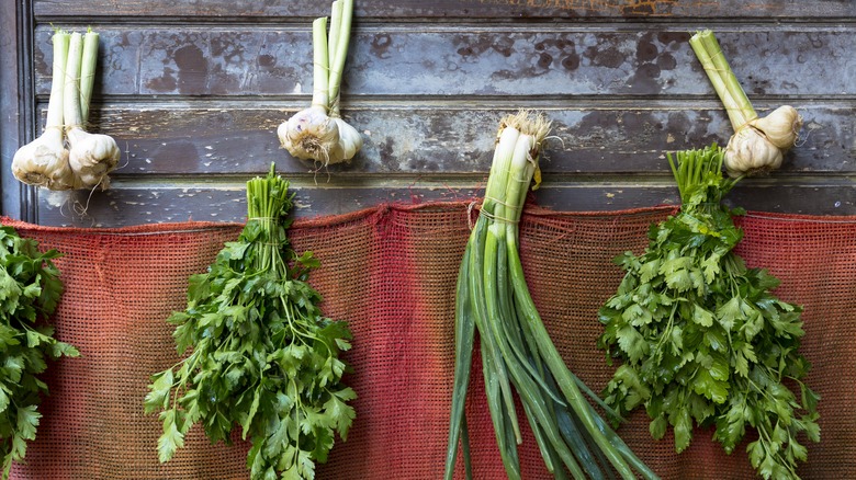 bundled garlic bulbs and herbs