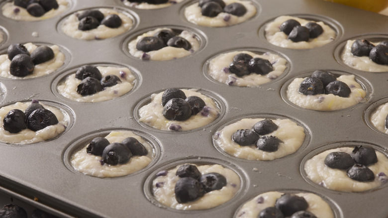 blueberry muffins in pan