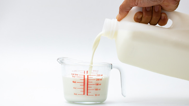 Pouring milk into glass measuring cup