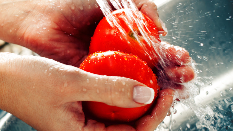 hands rinsing tomatoes