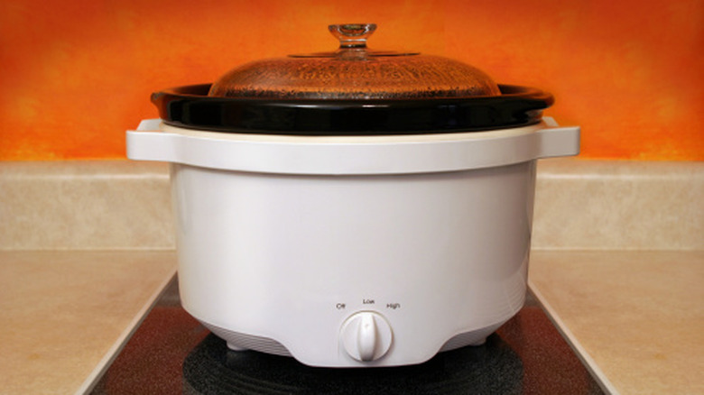 Slow Cooker vs. Crockpot: The Difference