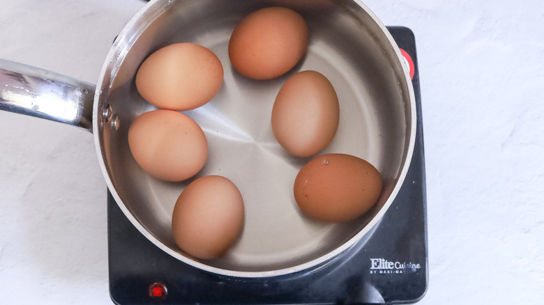 eggs in pot with water