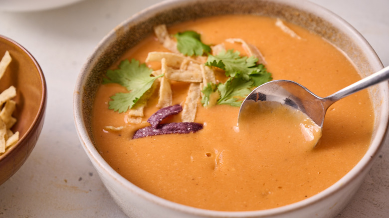 spoon dipping into tomato bisque