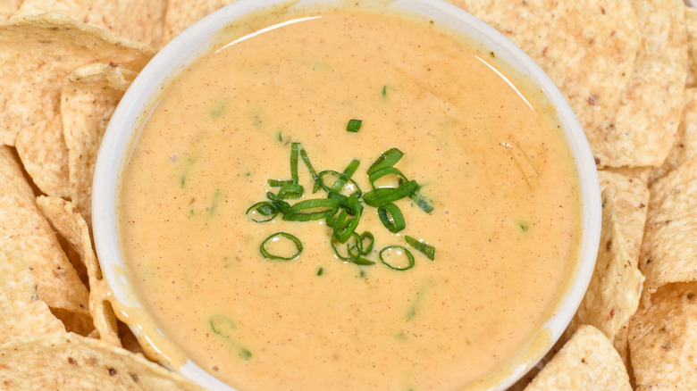 queso in bowl with tortilla chips