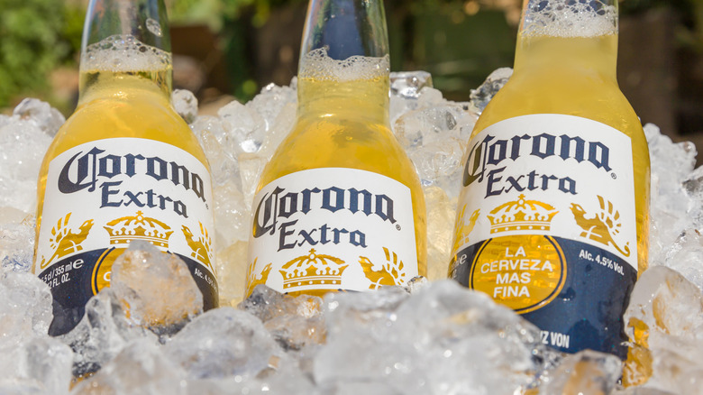 Three bottles of Corona beer on ice