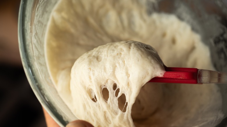 Scooping sourdough starter