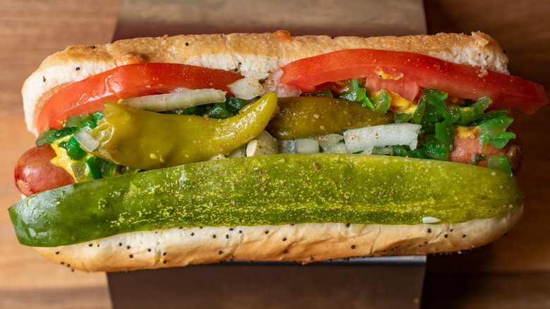 Chicago-style hot dog 