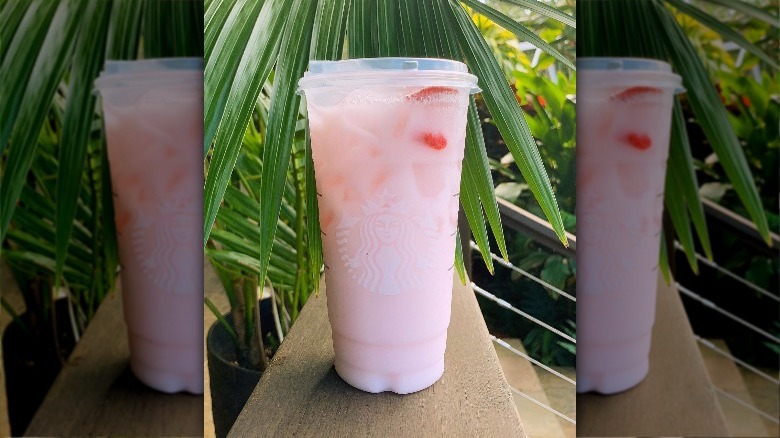 Starbucks Pink Drink and foliage