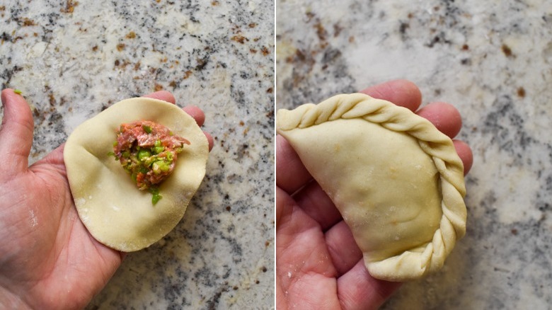 filling beef steamed dumplings