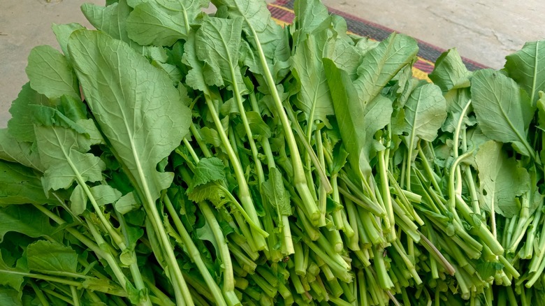 pile of mustard greens