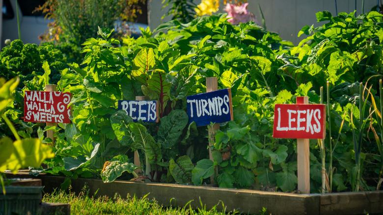 labels in home produce garden