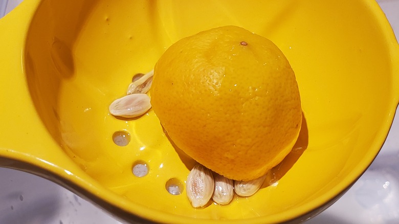 lemon half in a juicer with seeds