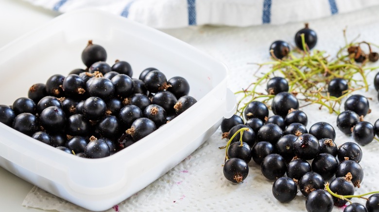 Black currant berries on a paper towel next to berries in a container