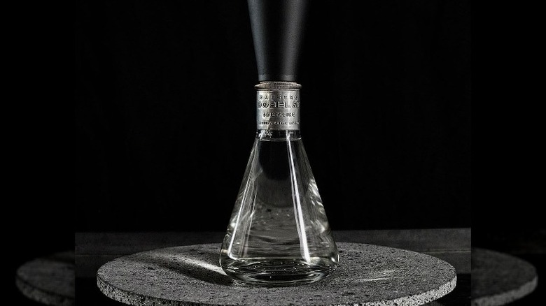 Close-up of Maestro Dobel 50