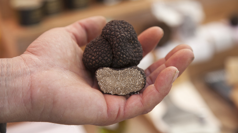 hand holding truffles