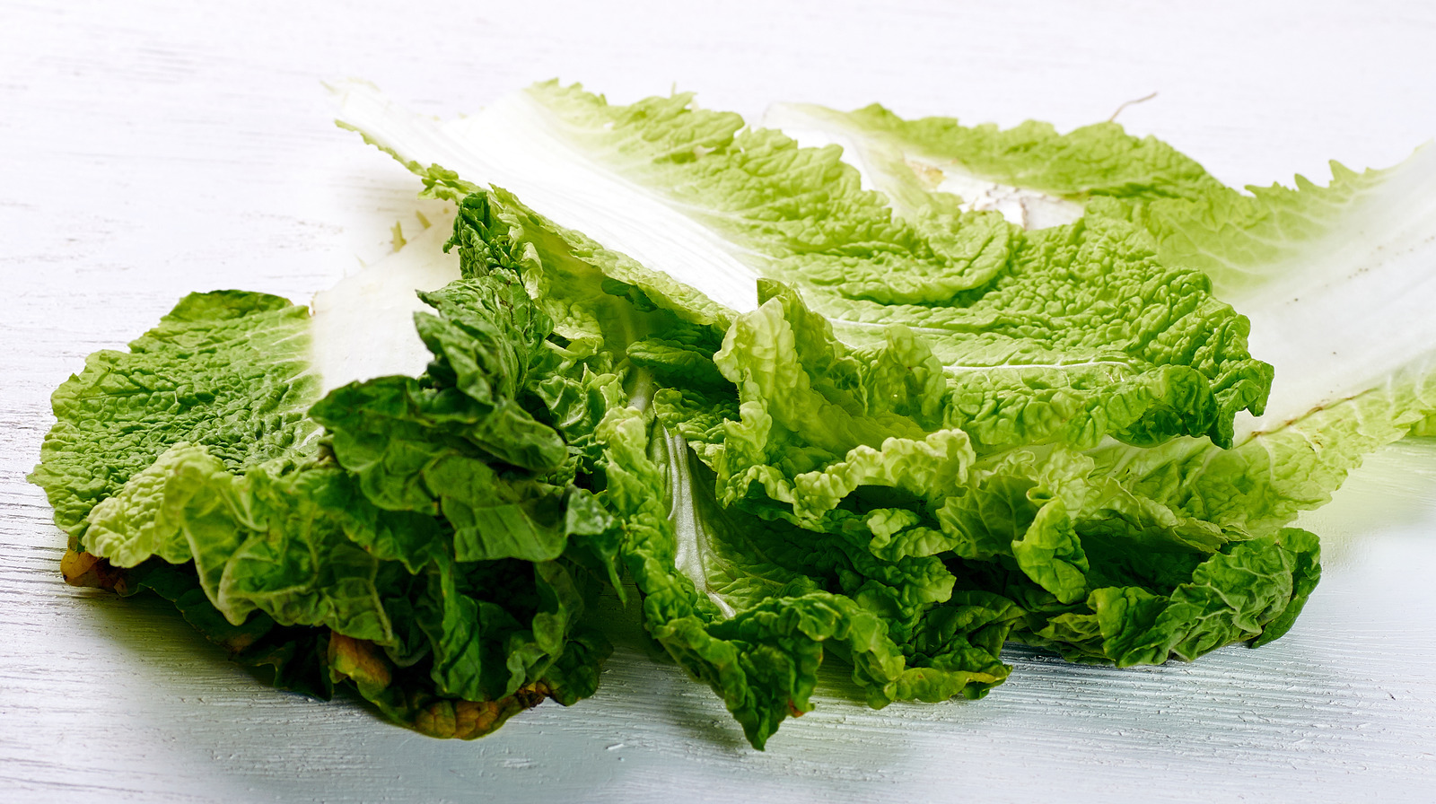 How to Store Lettuce in the Fridge (Without Plastic) - Clean Green Simple