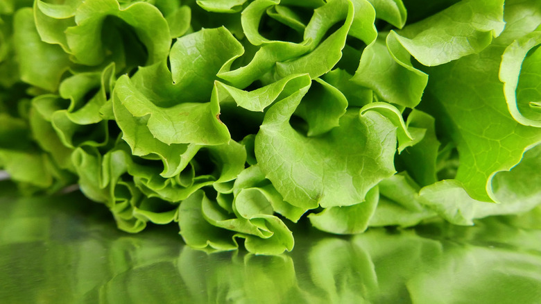 Lettuce on aluminum foil