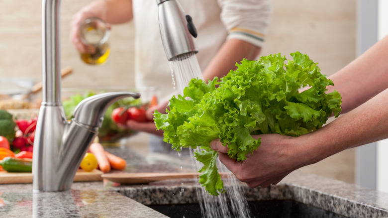 Someone washing salad greens