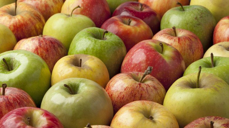 close up various apples