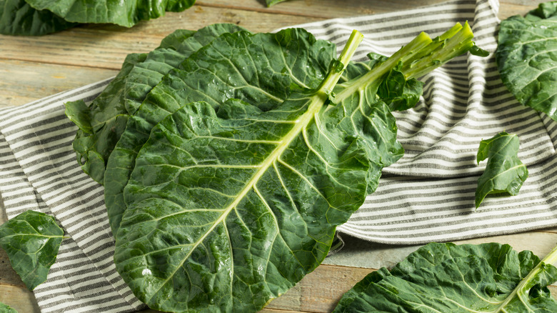 Fresh collard green leaves