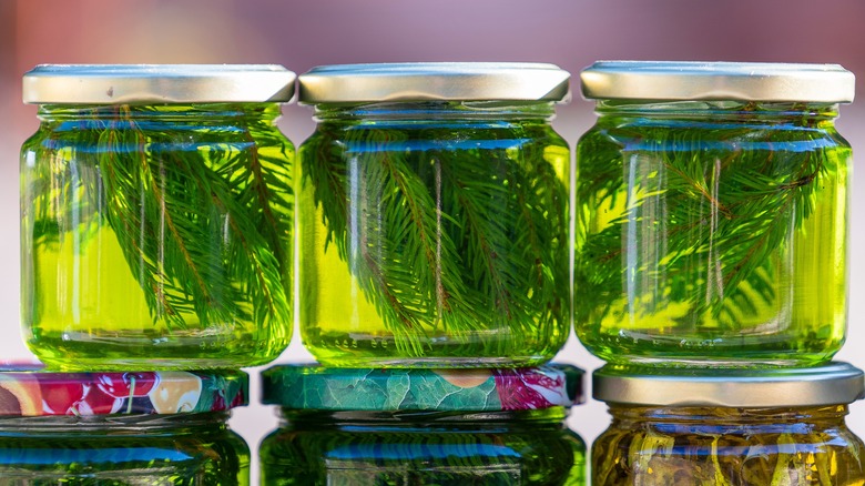 jars of pine needle infusion