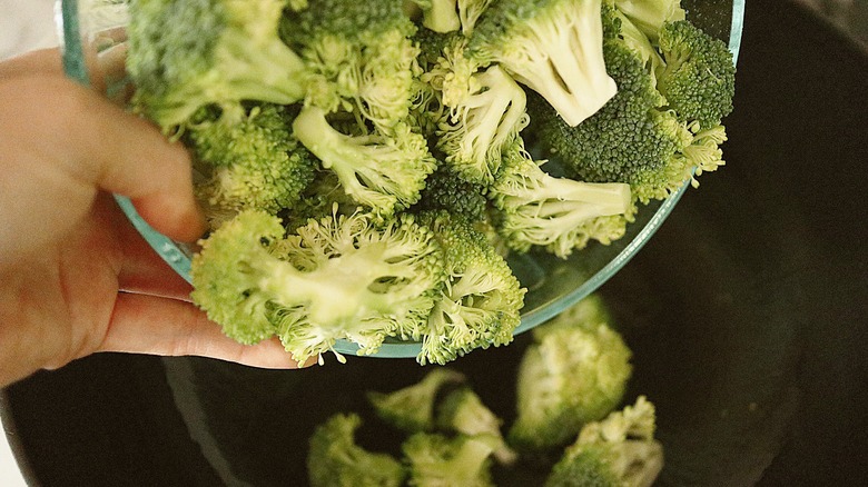 raw chopped broccoli in pot