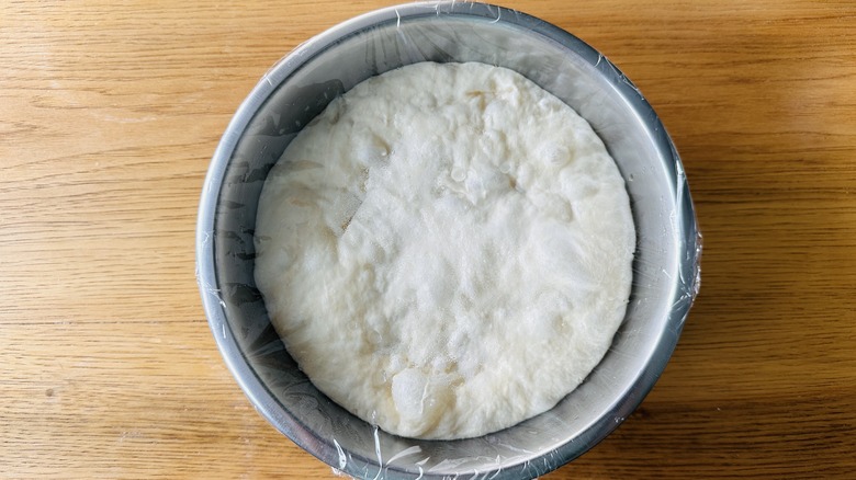 risen dough in covered bowl