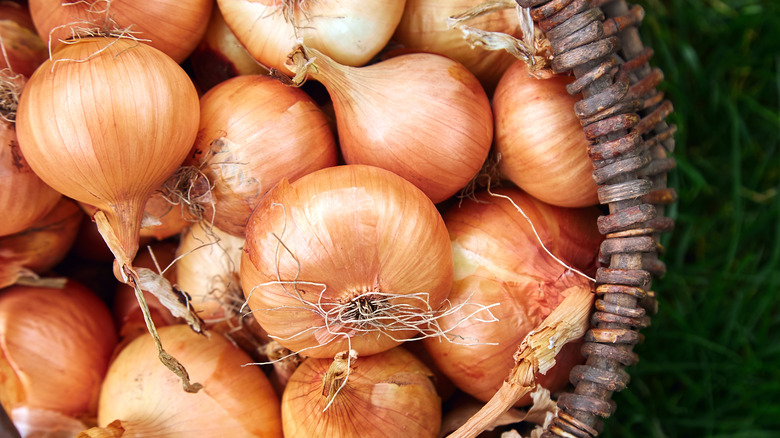 Basket of onions