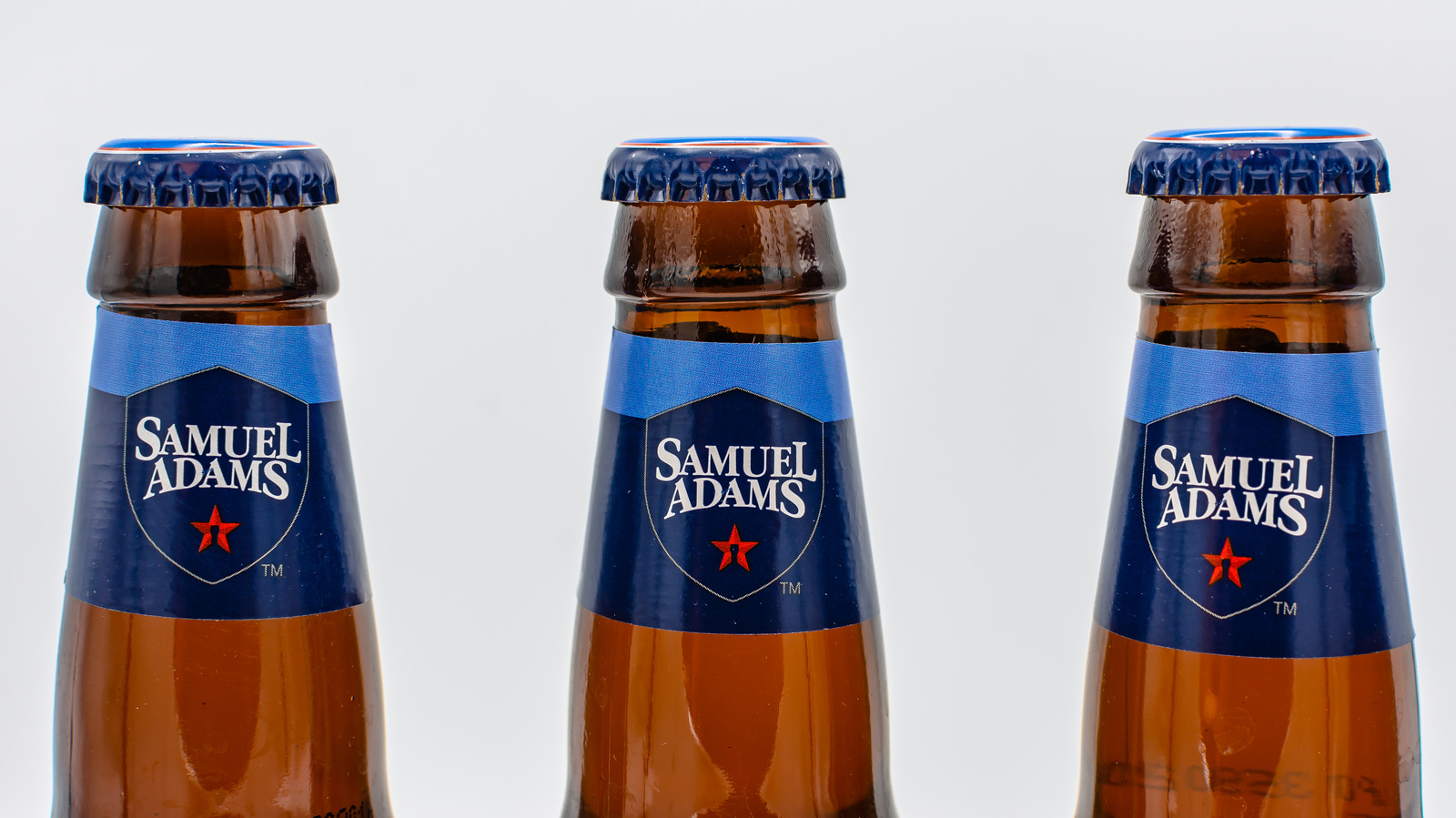 Tasting Table Unearths What Beer Fans Think Is Samuel Adams Best 