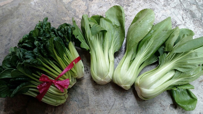 tsatsoi and bok choy