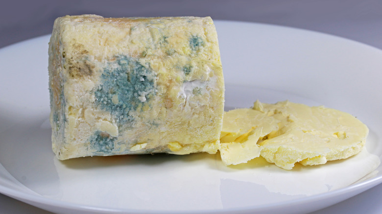 moldy cheese log
