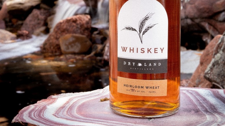 Dry Land Distillers Heirloom Wheat whiskey