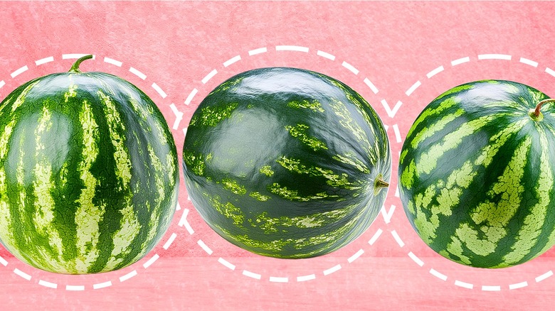 three watermelons in a row