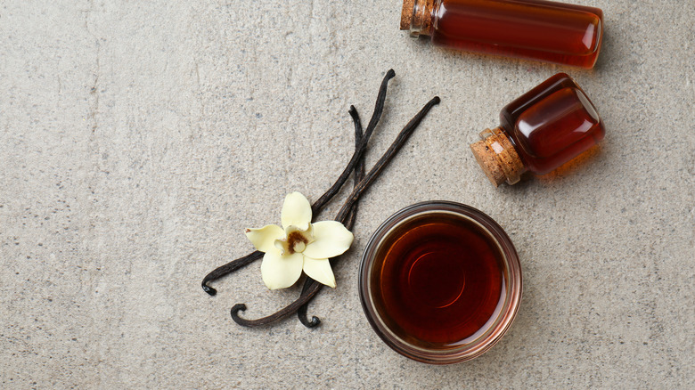 Vanilla extract bottles and vanilla orchid