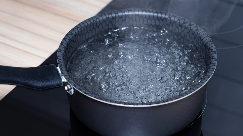 Boiling water in saucepan