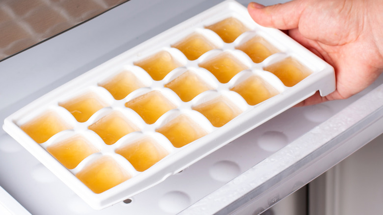 frozen lemon juice cubes
